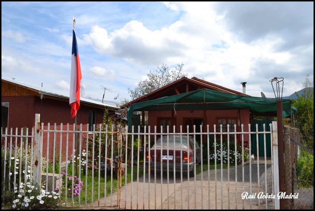 Foto de Quinta de Tilcoco (Libertador General Bernardo OʼHiggins), Chile