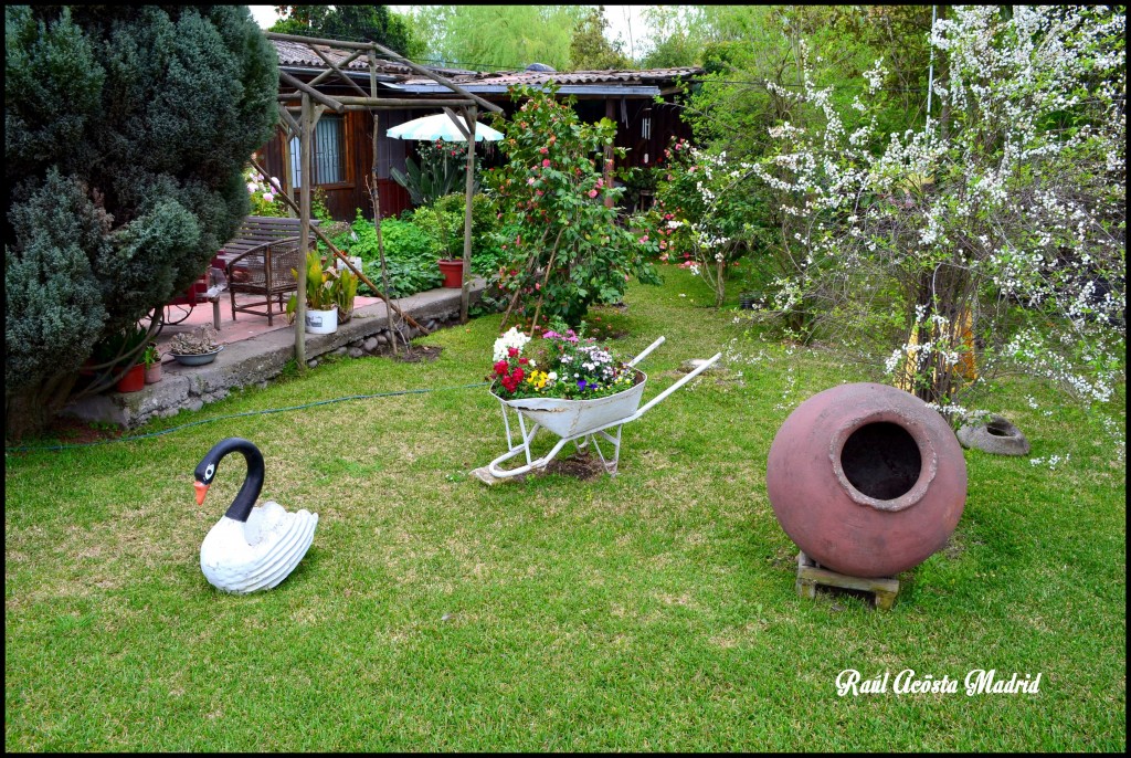 Foto de Quinta de Tilcoco (Libertador General Bernardo OʼHiggins), Chile