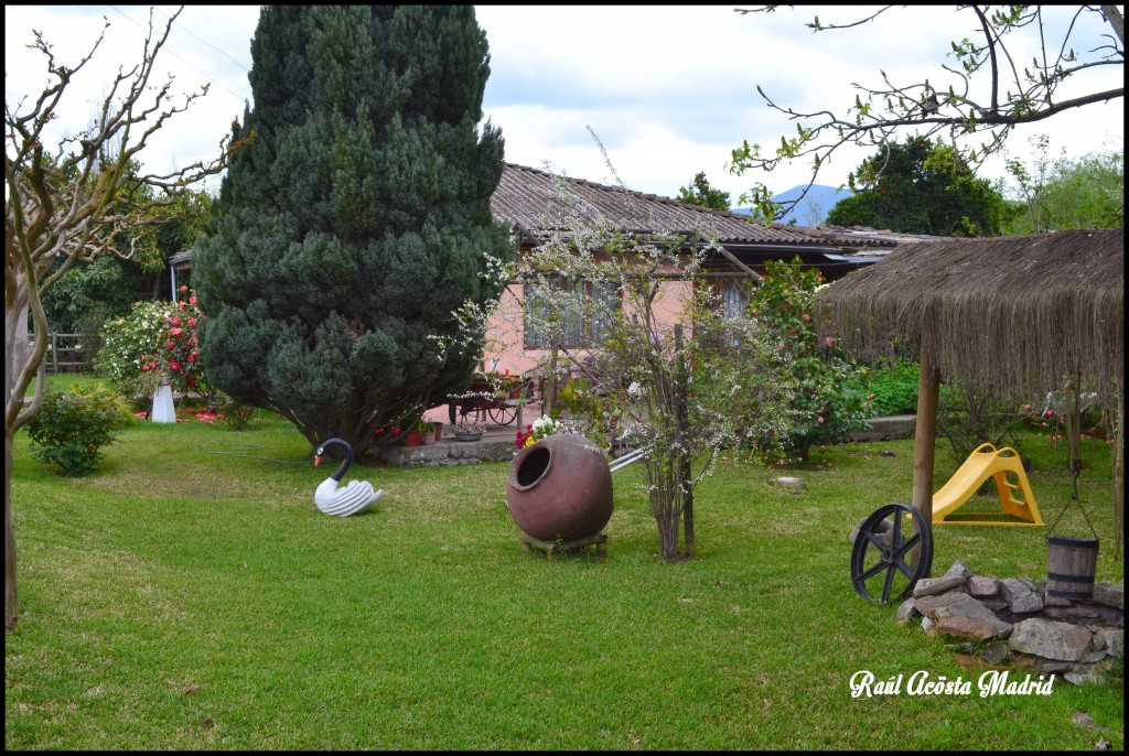 Foto de Quinta de Tilcoco (Libertador General Bernardo OʼHiggins), Chile