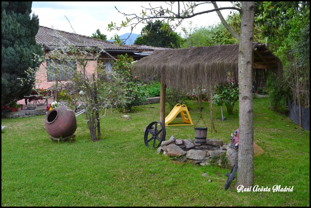 Foto de Quinta de Tilcoco (Libertador General Bernardo OʼHiggins), Chile