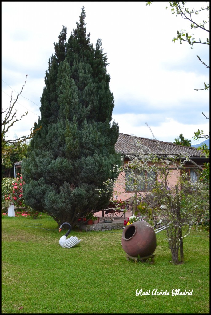 Foto de Quinta de Tilcoco (Libertador General Bernardo OʼHiggins), Chile