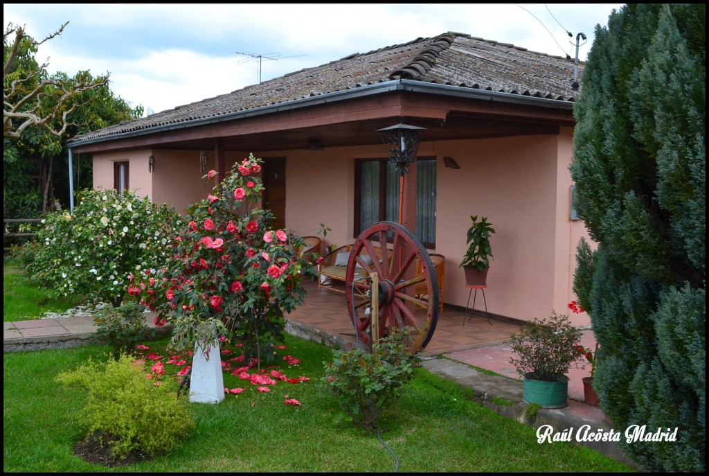 Foto de Quinta de Tilcoco (Libertador General Bernardo OʼHiggins), Chile