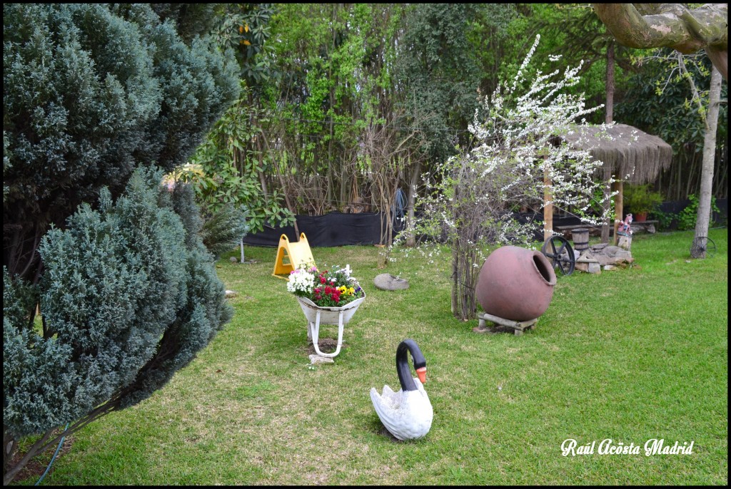 Foto de Quinta de Tilcoco (Libertador General Bernardo OʼHiggins), Chile