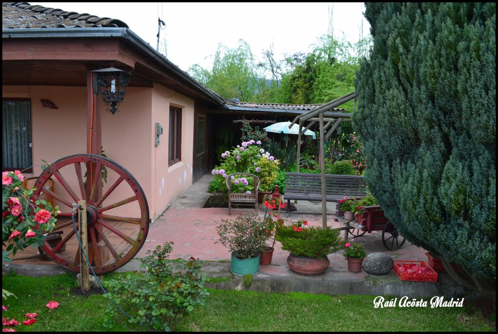 Foto de Quinta de Tilcoco (Libertador General Bernardo OʼHiggins), Chile