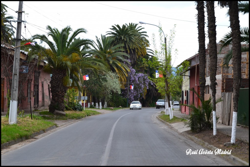 Foto de Quinta de Tilcoco (Libertador General Bernardo OʼHiggins), Chile