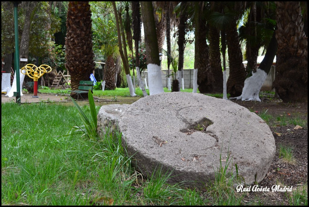 Foto de Quinta de Tilcoco (Libertador General Bernardo OʼHiggins), Chile