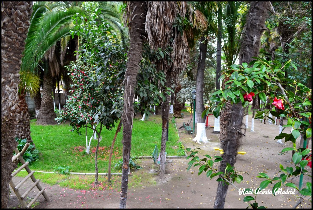 Foto de Quinta de Tilcoco (Libertador General Bernardo OʼHiggins), Chile