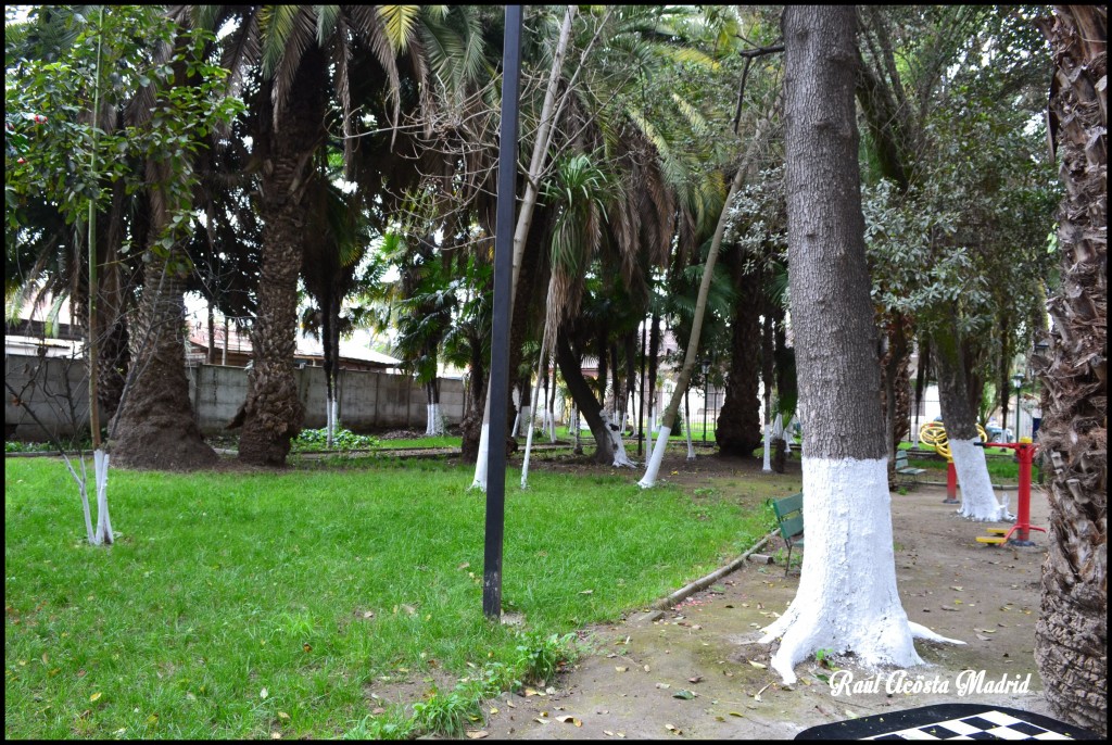 Foto de Quinta de Tilcoco (Libertador General Bernardo OʼHiggins), Chile