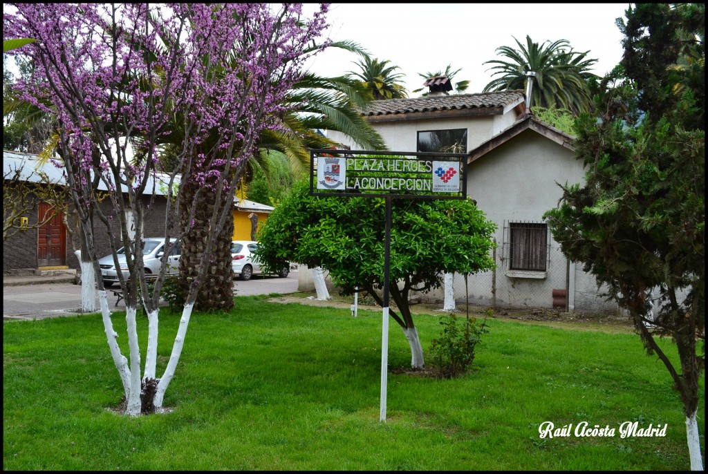 Foto de Quinta de Tilcoco (Libertador General Bernardo OʼHiggins), Chile