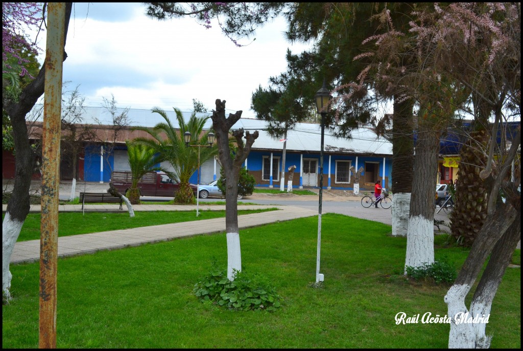 Foto de Quinta de Tilcoco (Libertador General Bernardo OʼHiggins), Chile