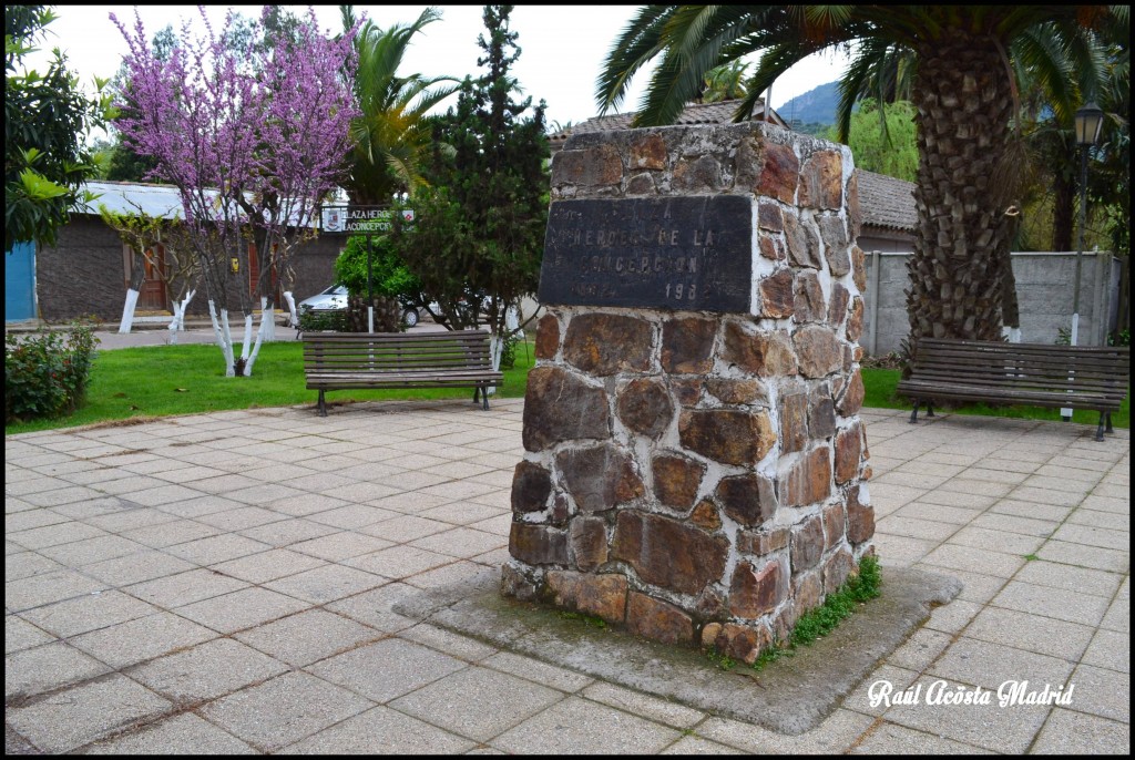 Foto de Quinta de Tilcoco (Libertador General Bernardo OʼHiggins), Chile