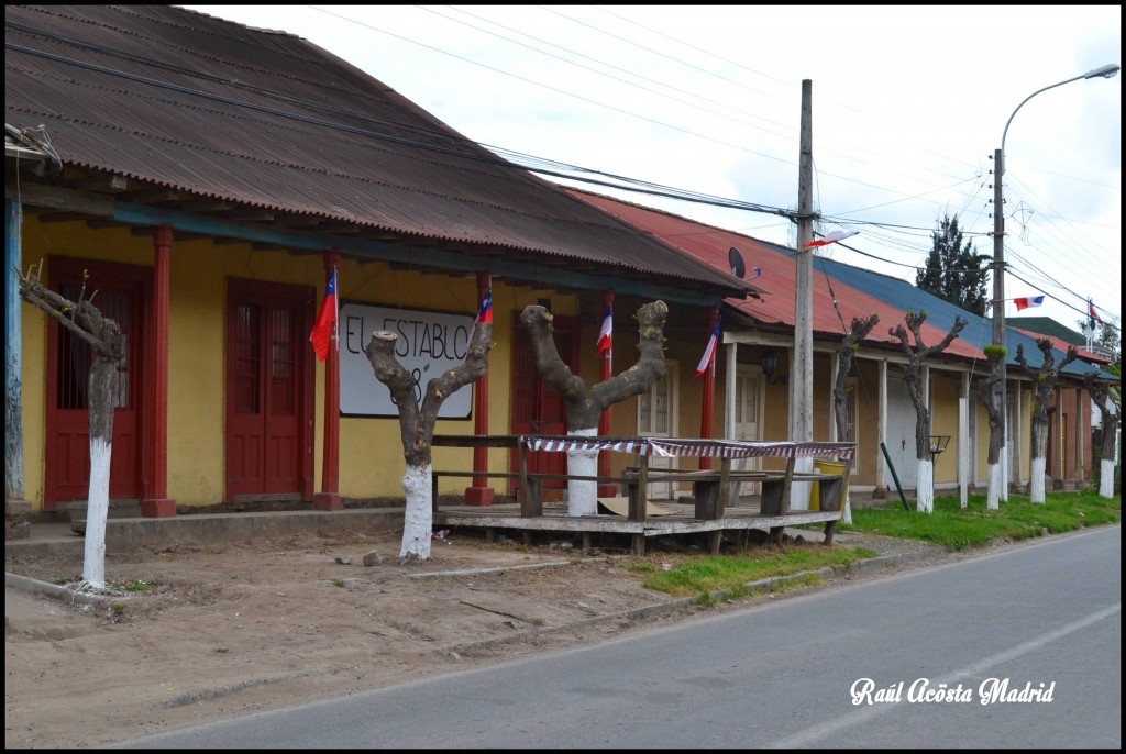 Foto de Quinta de Tilcoco (Libertador General Bernardo OʼHiggins), Chile