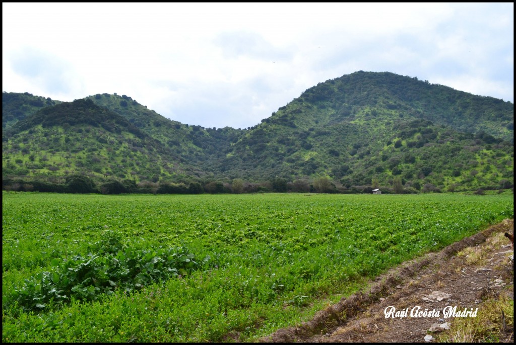 Foto de Quinta de Tilcoco (Libertador General Bernardo OʼHiggins), Chile