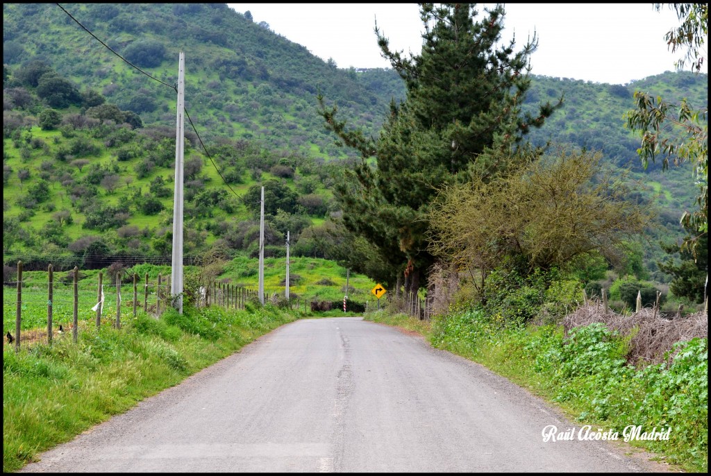 Foto de Quinta de Tilcoco (Libertador General Bernardo OʼHiggins), Chile