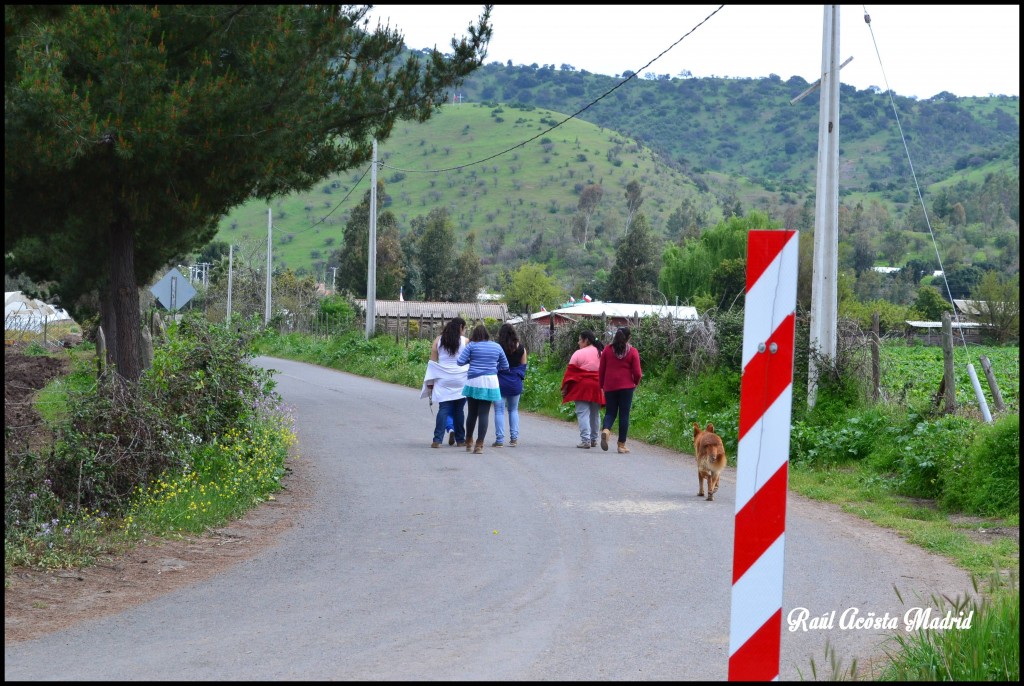 Foto de Quinta de Tilcoco (Libertador General Bernardo OʼHiggins), Chile