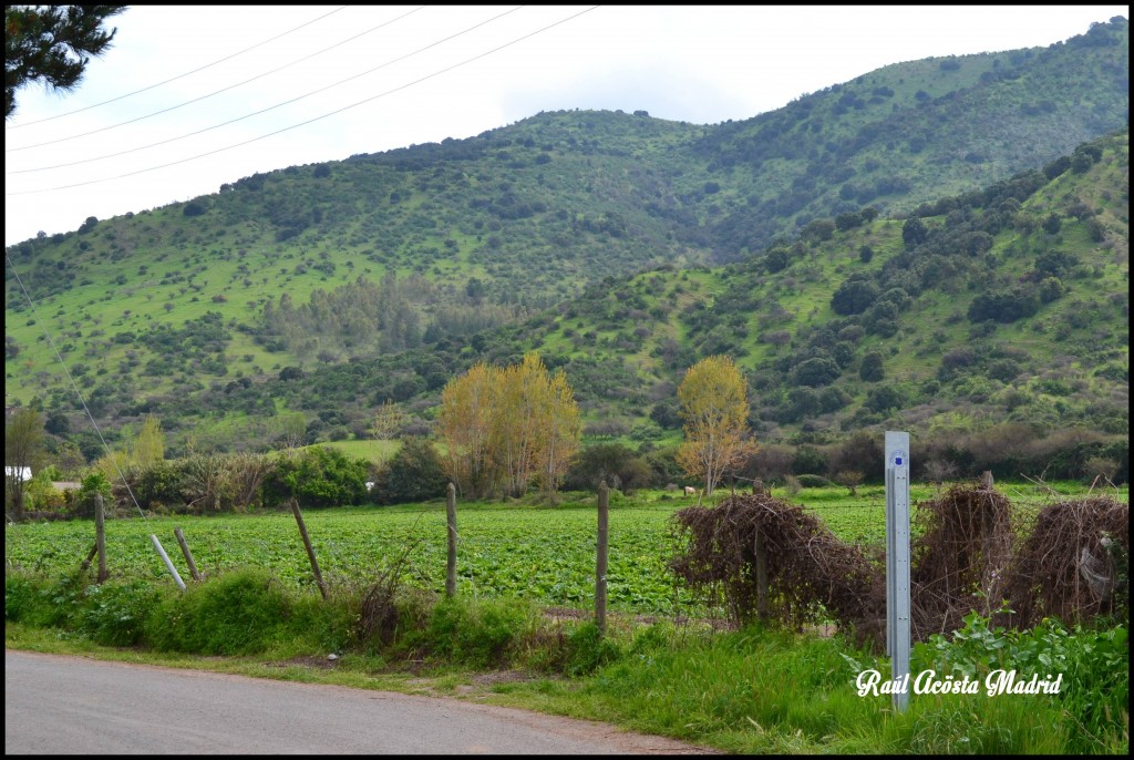 Foto de Quinta de Tilcoco (Libertador General Bernardo OʼHiggins), Chile