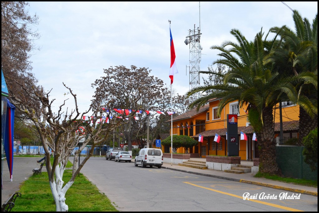 Foto de Quinta de Tilcoco (Libertador General Bernardo OʼHiggins), Chile