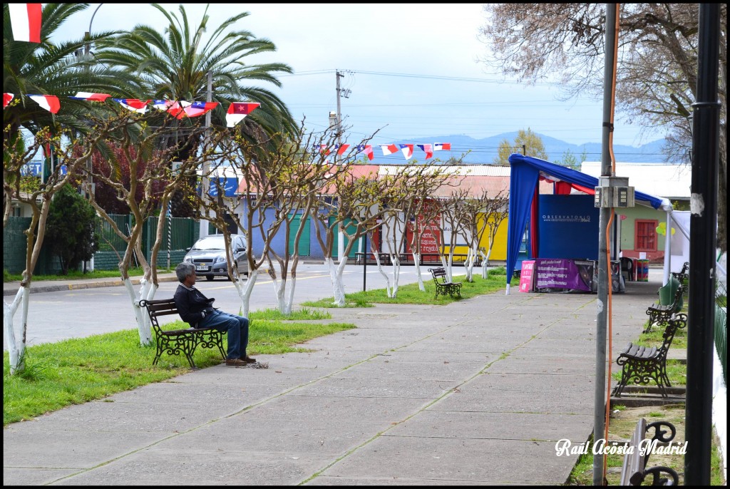 Foto de Quinta de Tilcoco (Libertador General Bernardo OʼHiggins), Chile