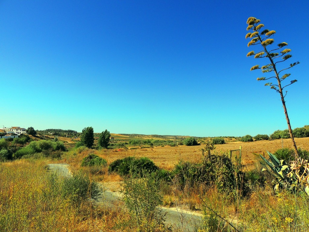 Foto de Candón (Huelva), España