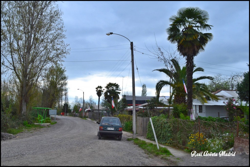 Foto de Quinta de Tilcoco (Libertador General Bernardo OʼHiggins), Chile