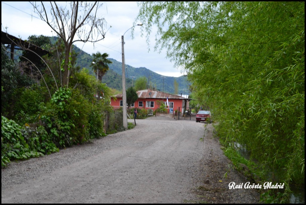 Foto de Quinta de Tilcoco (Libertador General Bernardo OʼHiggins), Chile