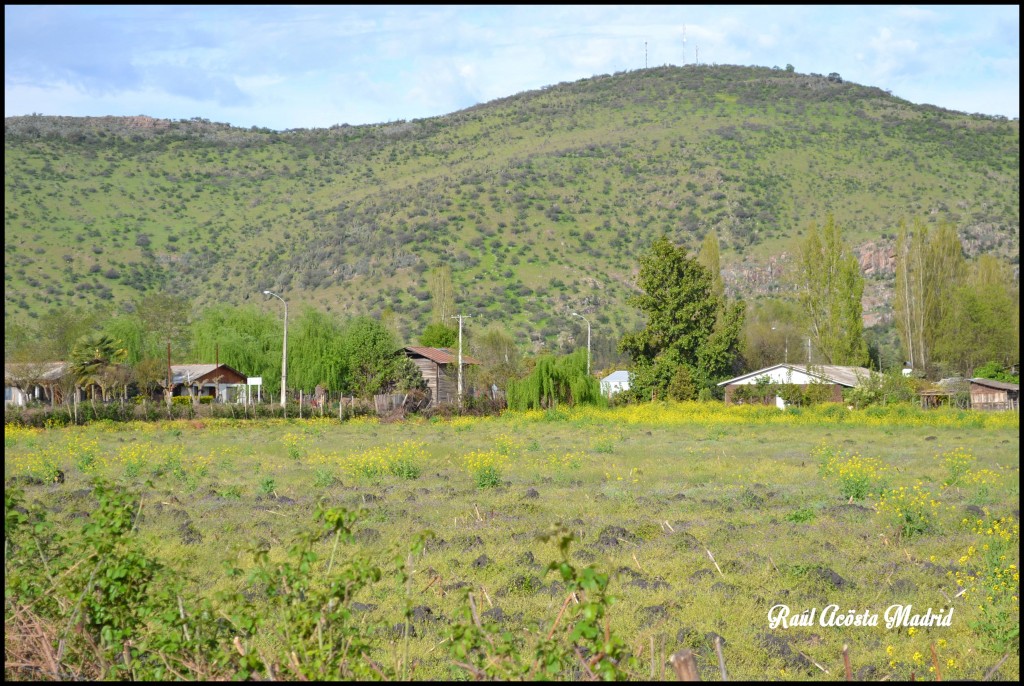 Foto de Coinco (Libertador General Bernardo OʼHiggins), Chile