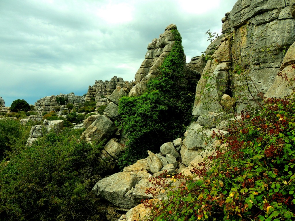 Foto de Antequera (Málaga), España