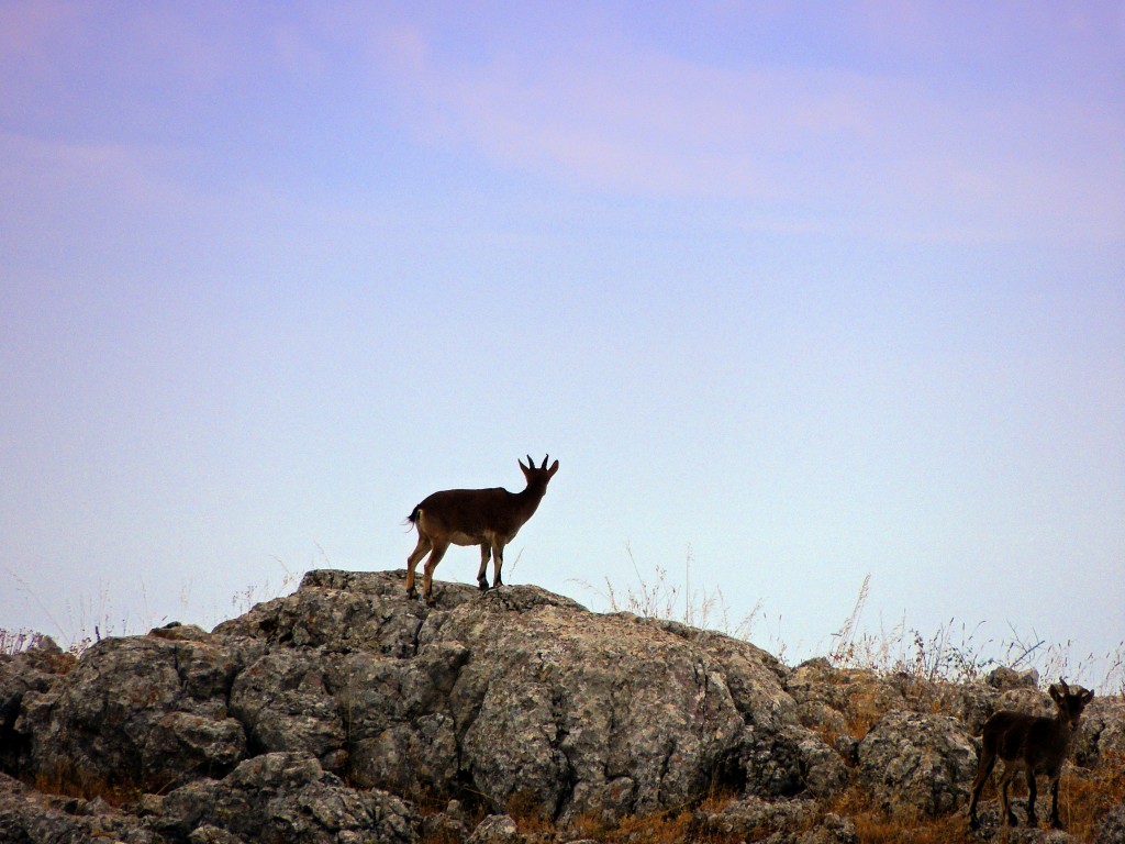 Foto de Antequera (Málaga), España