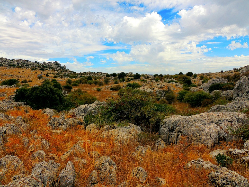 Foto de Antequera (Málaga), España