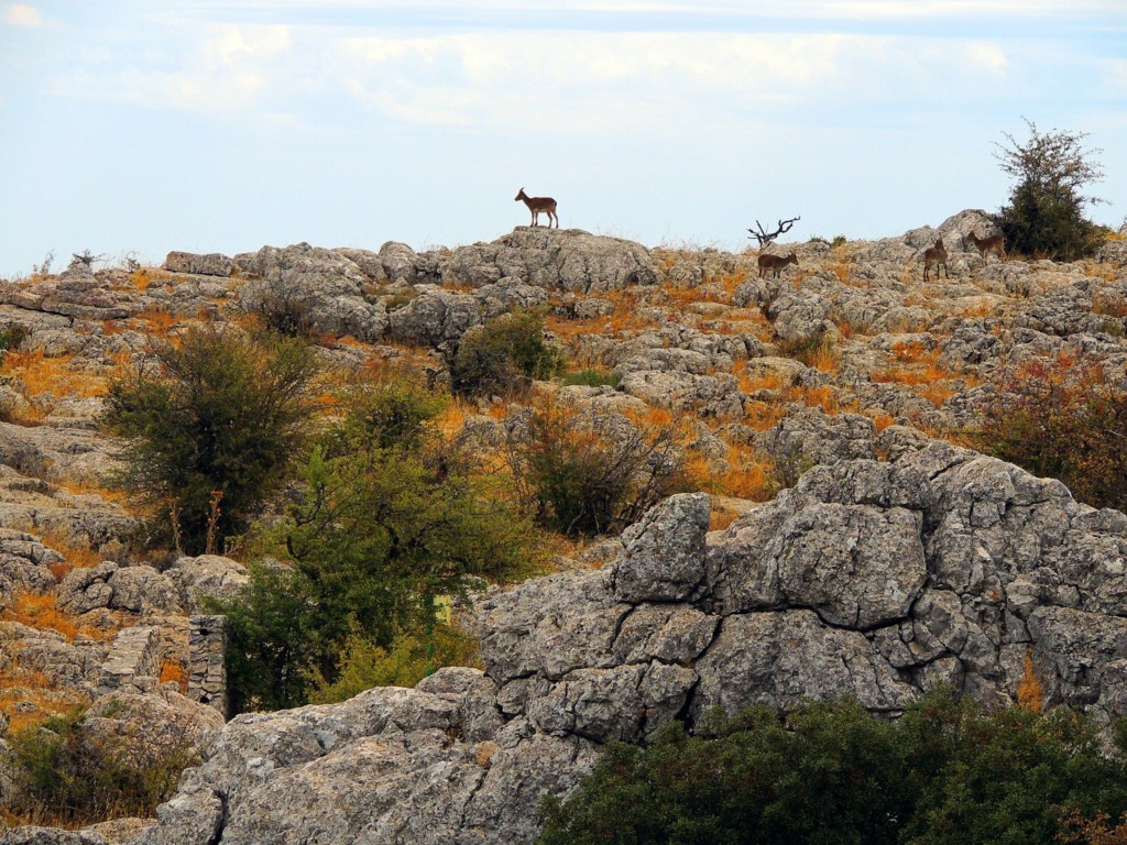 Foto de Antequera (Málaga), España