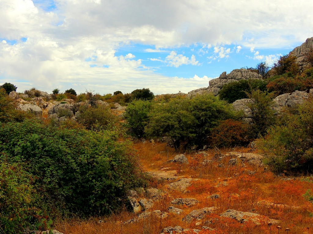 Foto de Antequera (Málaga), España