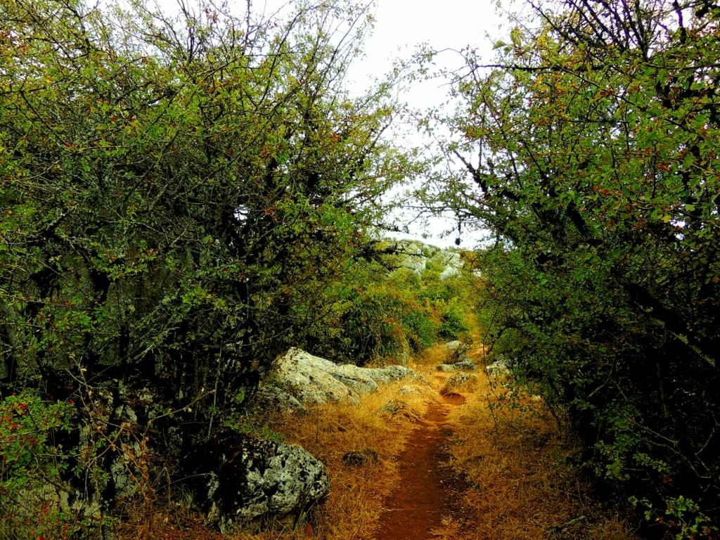 Foto de Antequera (Málaga), España