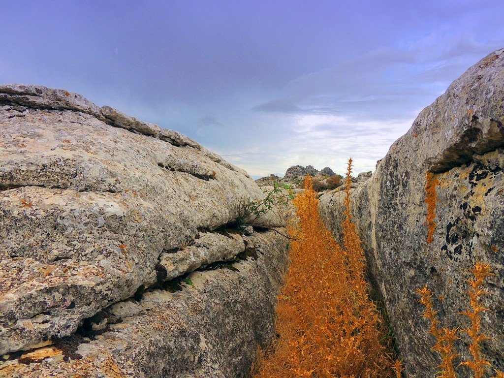 Foto de Antequera (Málaga), España