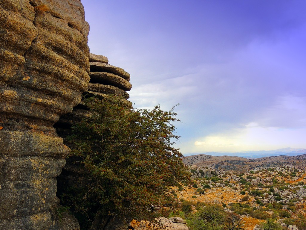 Foto de Antequera (Málaga), España