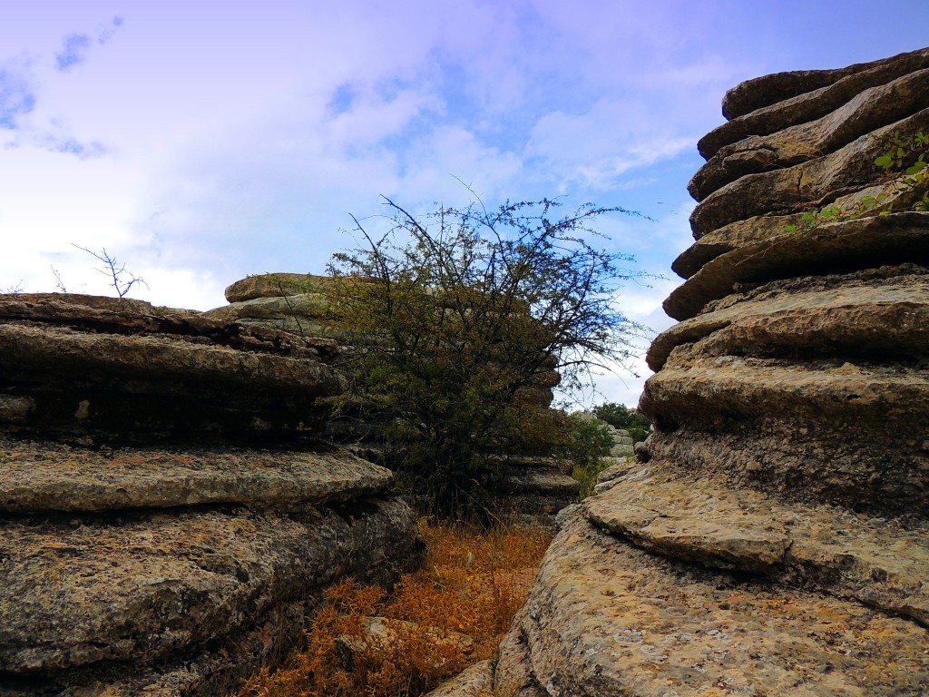 Foto de Antequera (Málaga), España