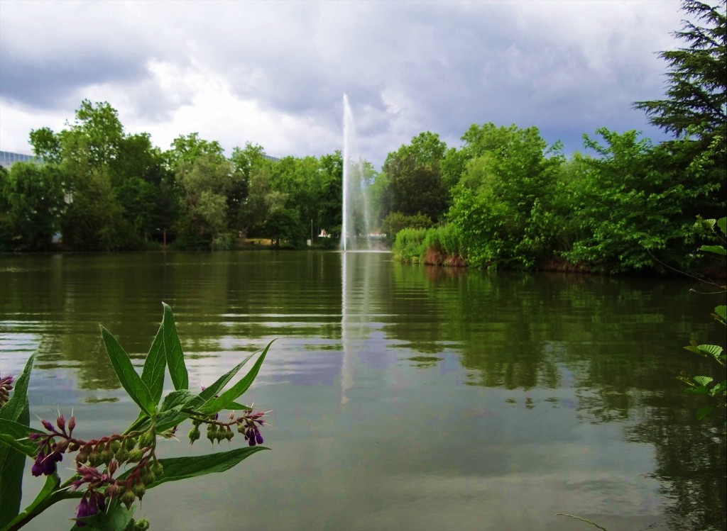 Foto: Jardin Japonais - Toulouse (Midi-Pyrénées), Francia