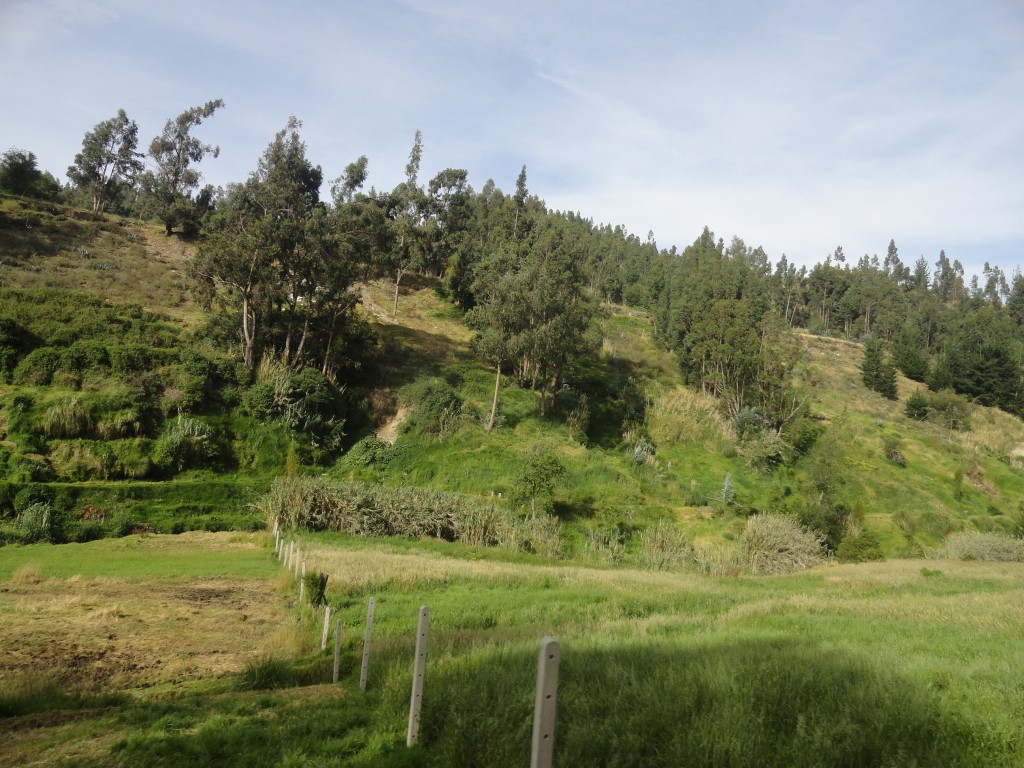 Foto: Paisaje - Chimborazo, Ecuador