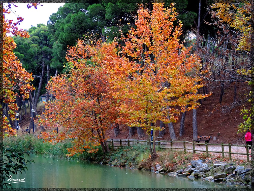 Foto: 141123-09 CANAL IMPERIAL - Zaragoza (Aragón), España