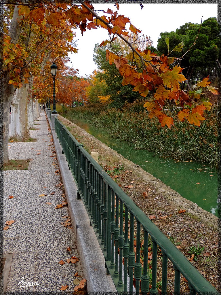 Foto: 141123-59 CANAL IMPERIAL - Zaragoza (Aragón), España