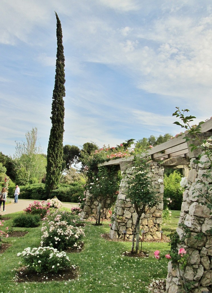 Foto: Parque Cervantes - Barcelona (Cataluña), España