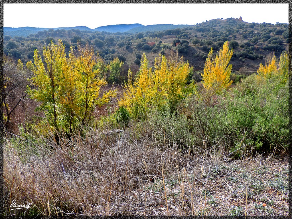 Foto: 141101-14 SOMAEN - Somaen (Soria), España