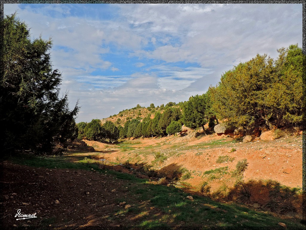 Foto: 141102-16 ALCONCHEL DE ARIZA - Alconchel De Ariza (Zaragoza), España