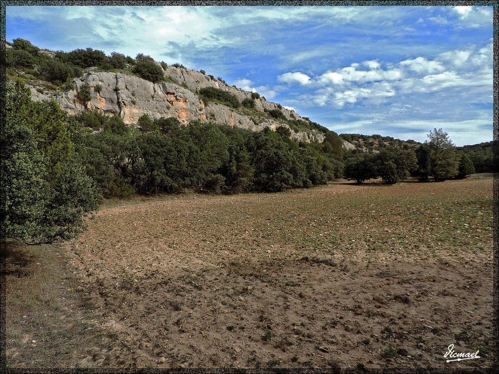 Foto: 141102-28 ALCONCHEL DE ARIZA - Alconchel De Ariza (Zaragoza), España