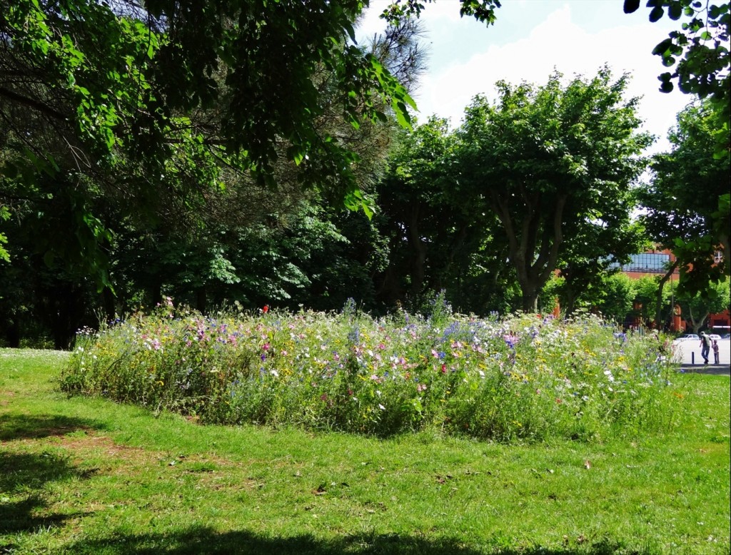 Foto: Jardin Japonais - Toulouse (Midi-Pyrénées), Francia