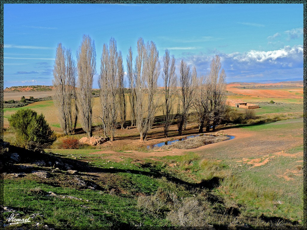 Foto: 141205-03 ALCONCHEL DE ARIZA - Alconchel De Ariza (Zaragoza), España