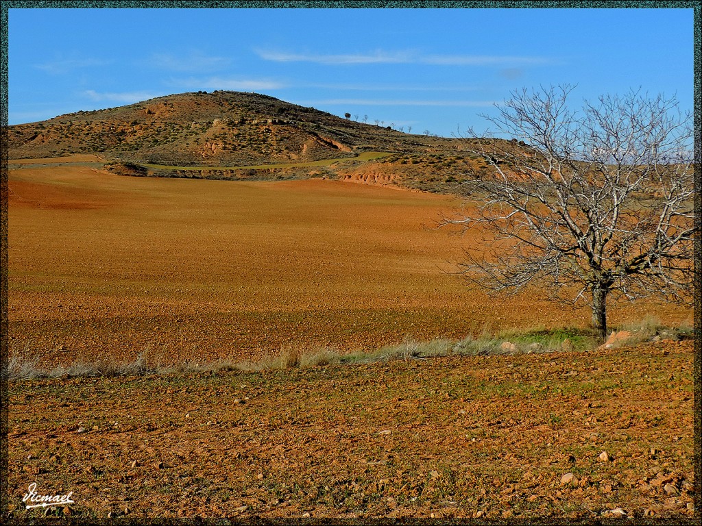 Foto: 141205-10 ALCONCHEL DE ARIZA - Alconchel De Ariza (Zaragoza), España