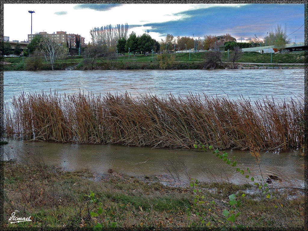 Foto: 141210-06 ZARAGOZA RIO EBRO - Zaragoza (Aragón), España