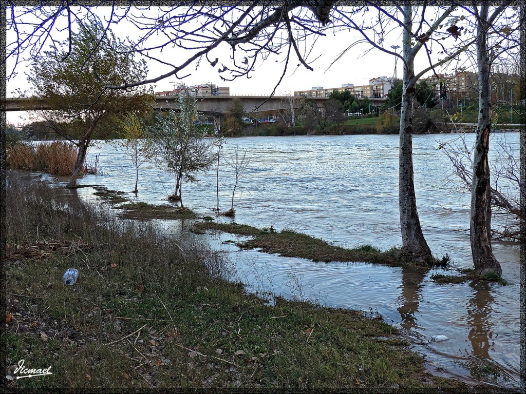 Foto: 141210-07 ZARAGOZA RIO EBRO - Zaragoza (Aragón), España