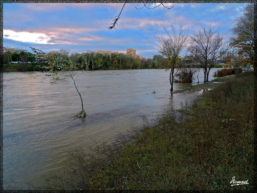 Foto: 141210-09 ZARAGOZA RIO EBRO - Zaragoza (Aragón), España