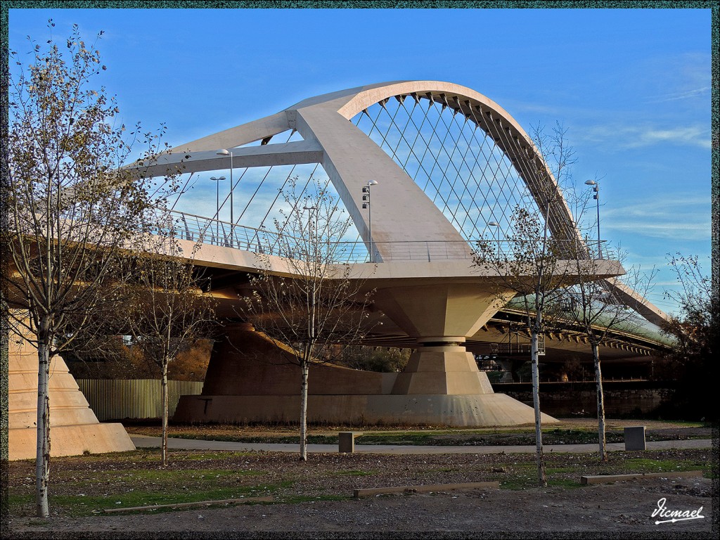 Foto: 141212-25 ZARAGOZA RANILLAS - Zaragoza (Aragón), España